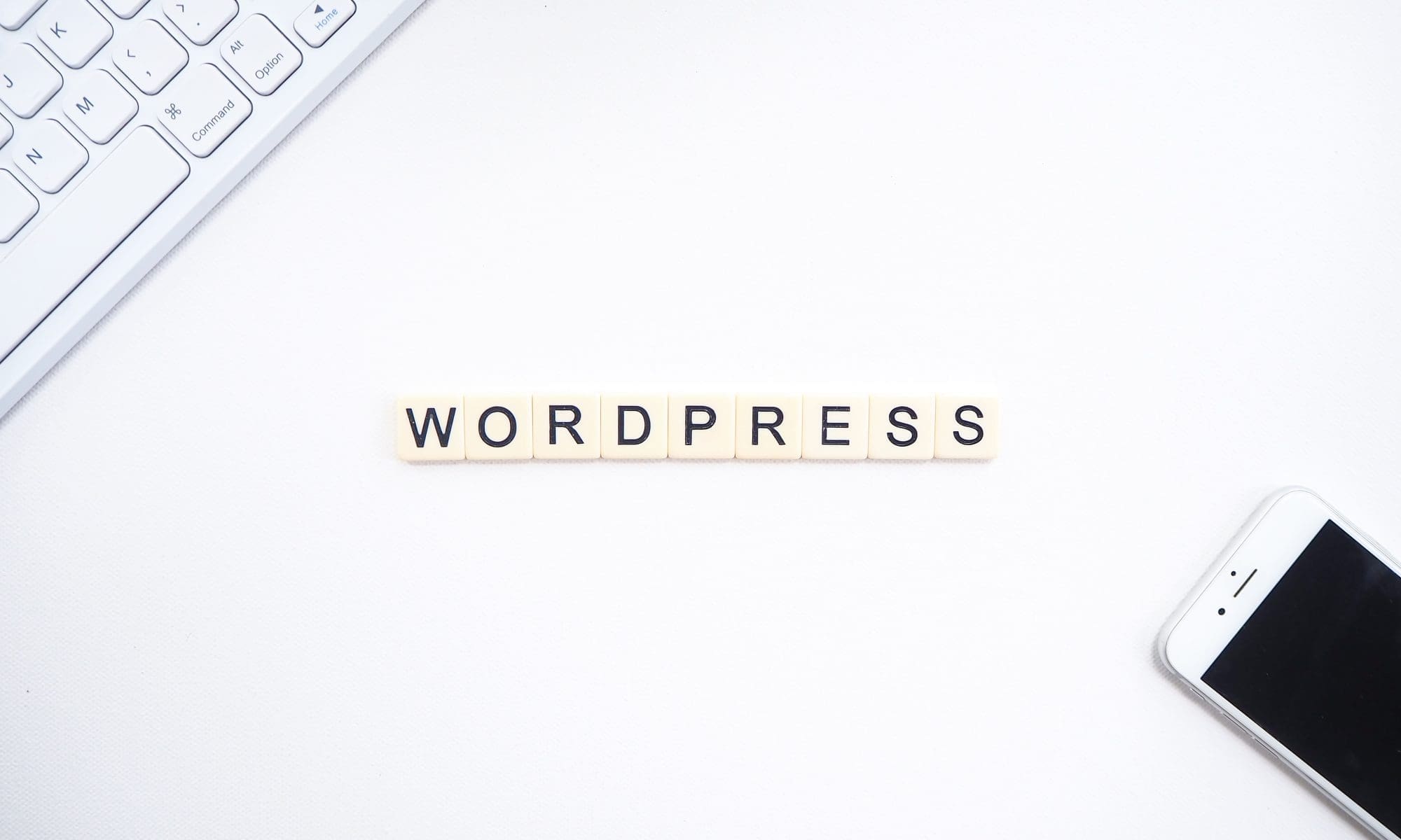 Wordpress With Hosting